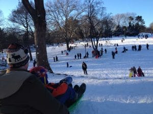 Después de una tempestad de nieve todos van al Central Park.