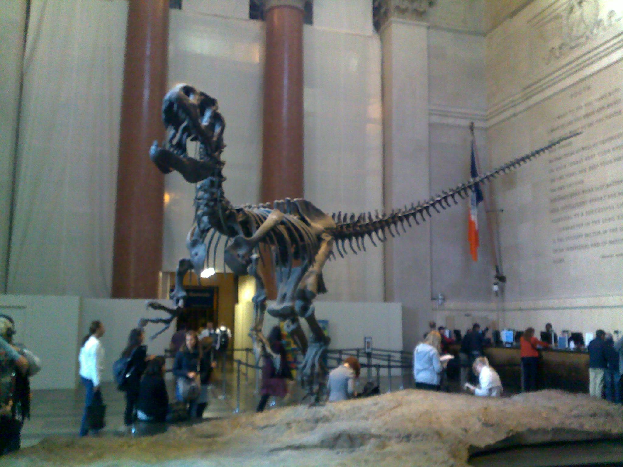 Um enorme esqueleto de dinossauro dentro do Museu de História Natural de Nova York