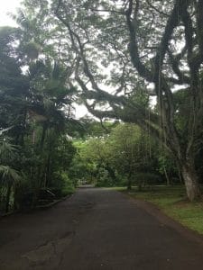 pontos de interesse em Oahu