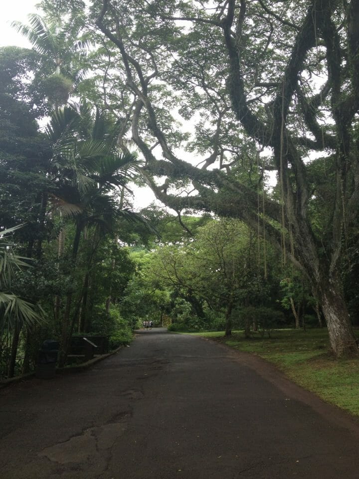 Oahu