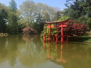 Jardim Japonês no Jardim Botânico do Brooklyn, NYC