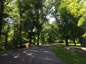 Jardim Botânico do Bronx, NYC.