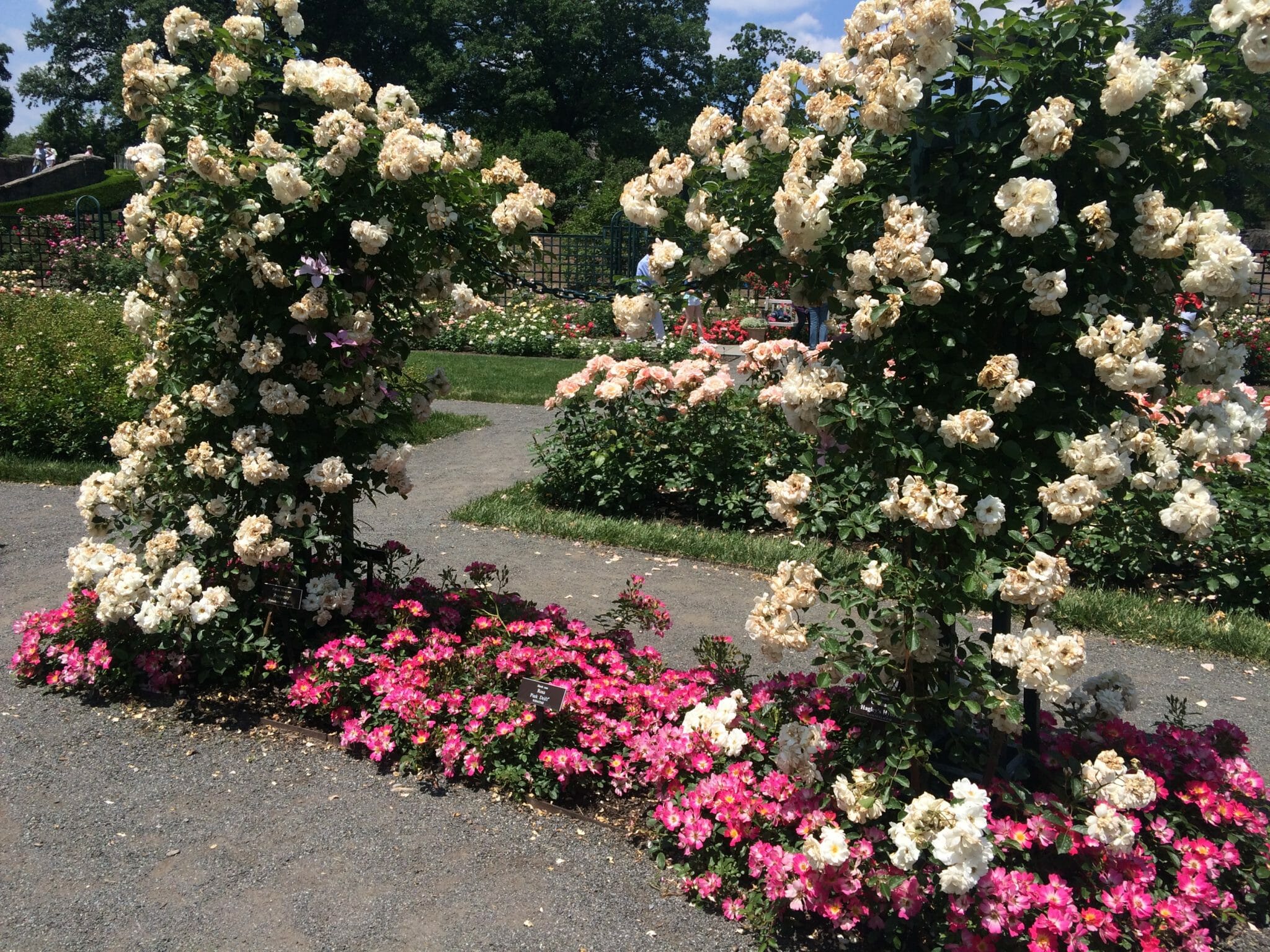 Bronx Botanic Garden.