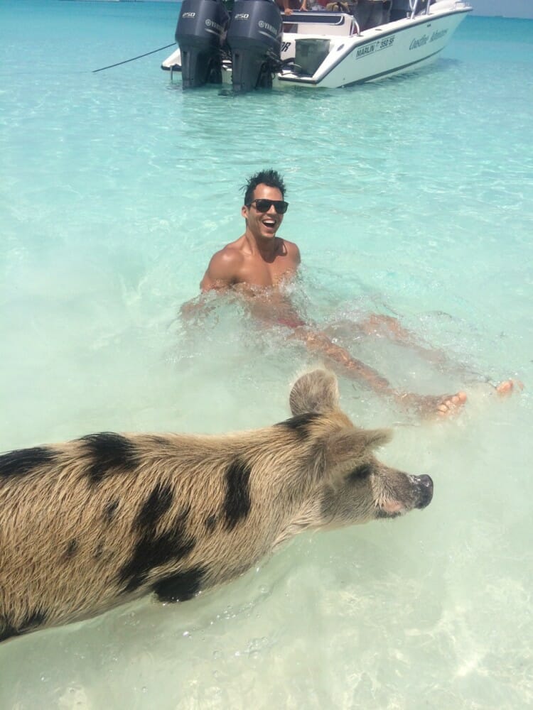 A man in the water playing with a pig on Pig Beach, Bahamas