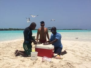 Preparando el aperitivo, Exuma, Bahamas.