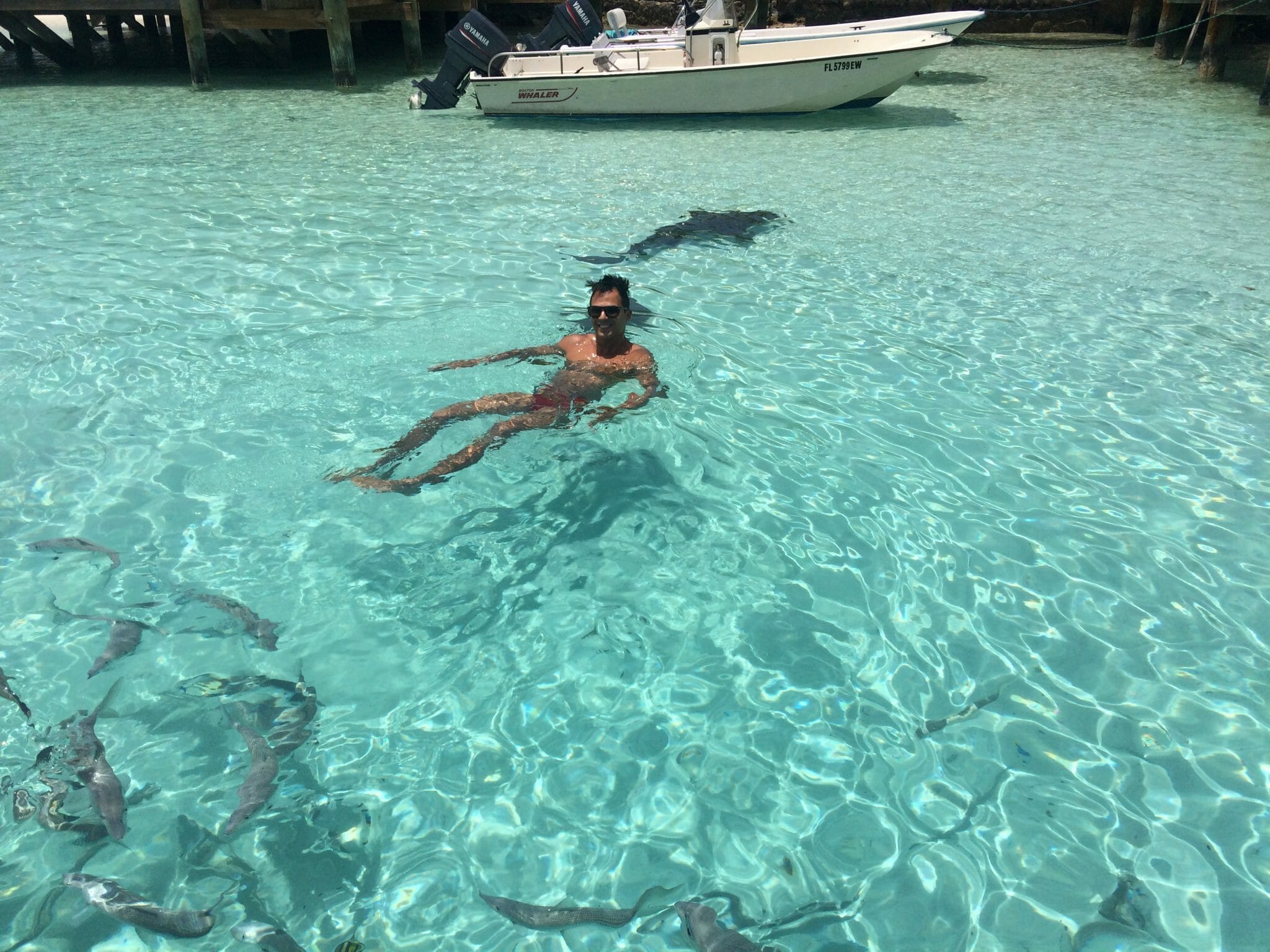 Pericles Rosa swimming with sharks at Compass Cay, Exumas, Bahamas