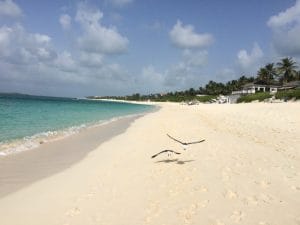 La Isla Paraíso es com un paraíso de verdad, Bahamas.