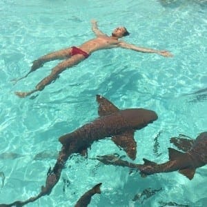 Nadando con tiburones, Bahamas.