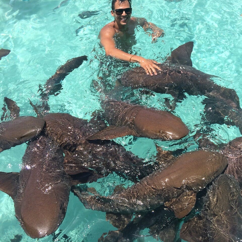 Un hombre nadando con tiburones en Compass Cay, Bahamas