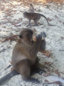 Phi Phi Islands