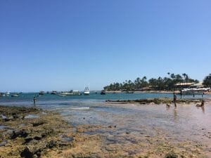 Praia do Forte, Bahia.