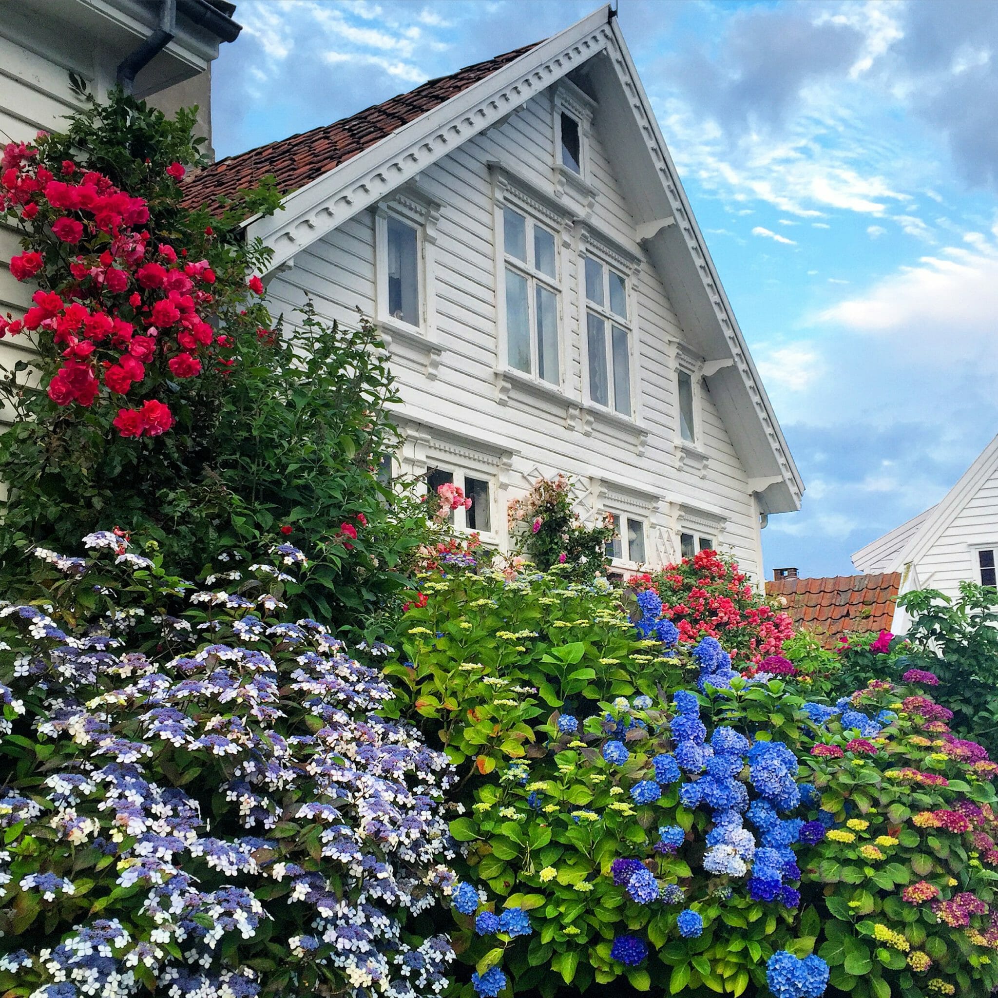 Flowers of different colours and a whitewashed house in Stavanger, Norway