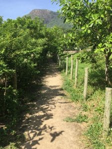 Passeios nas Praias Selvagens, Rio.