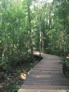 Iguazu Falls.