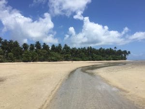 Boipeba beaches in bahia