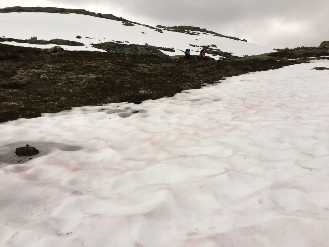 Best hikes, Trolltunga hike