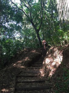 Boipeba