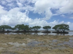 Boipeba