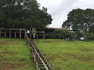 floresta amazônica