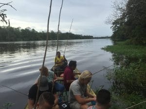 floresta amazônica