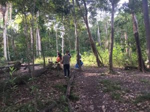 floresta amazônica