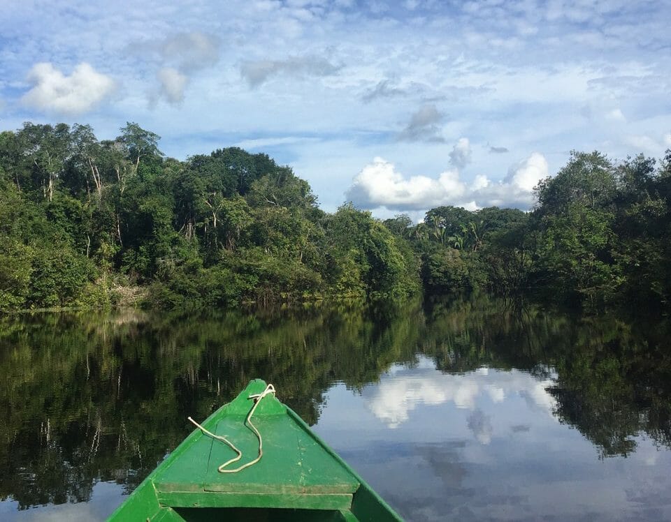 a green boat surrounded on a river by trees in the Amazon rainforest