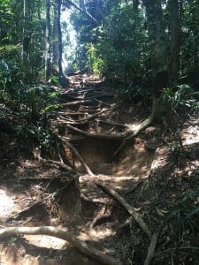 Pedra da Gávea