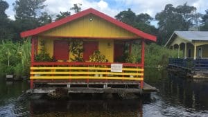 Comunidades ribeirinhas passeio de barco em Manaus