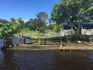 Riverine communities