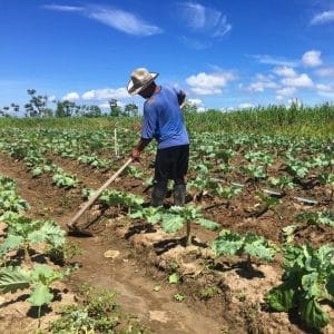 Comunidades ribereñas