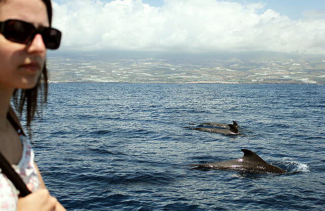 Tenerife