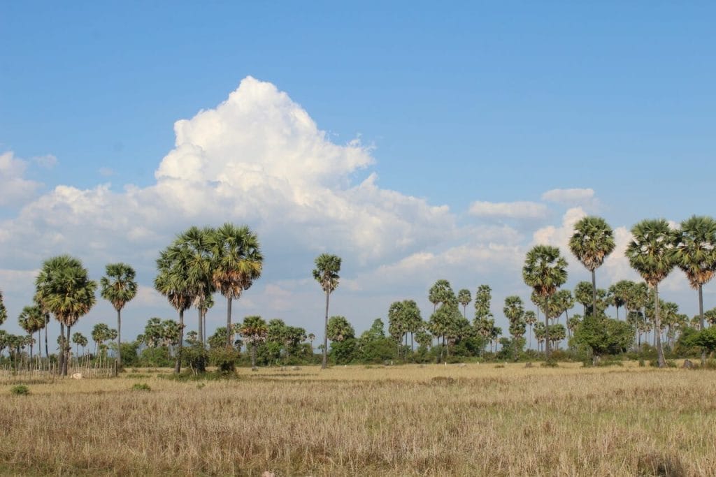 Phnom Kulen Moutain