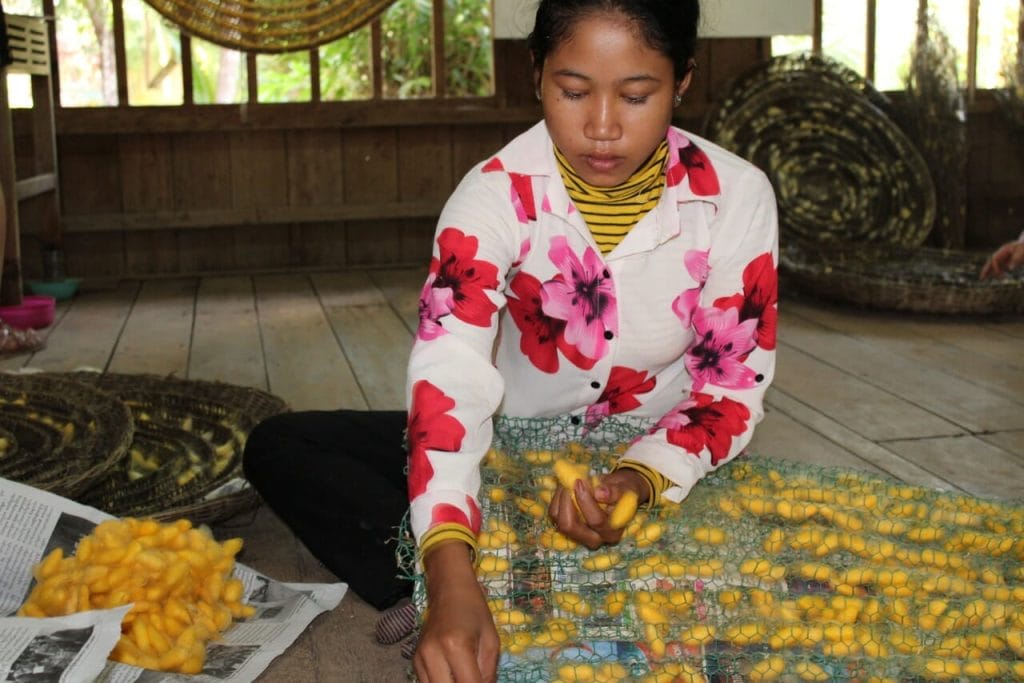 Angkor Silk Farm. 