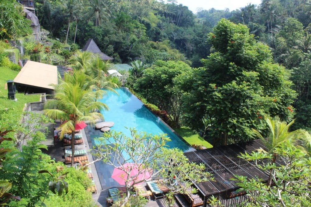 Una piscina y tres casas de estilo indonesio rodeadas de exuberante vegetación en Jungle Fish, Bali