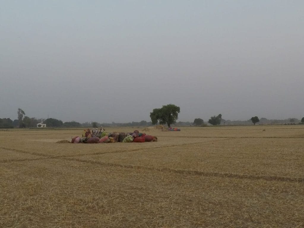 A bela paisagem campestre da Índia ao redor do centro de meditação de Sarnath-Varanasi