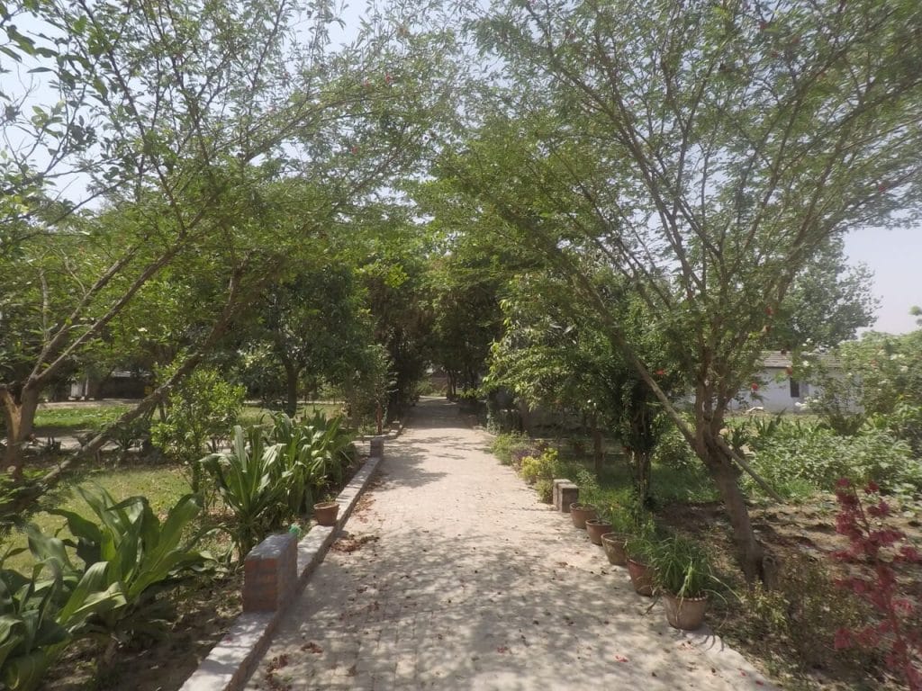 Centro de meditação em Sarnath-Varanasi, Índia