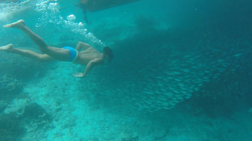 A man snorkelling surrounded by a school of fishes in Raja Ampat, Indonesia