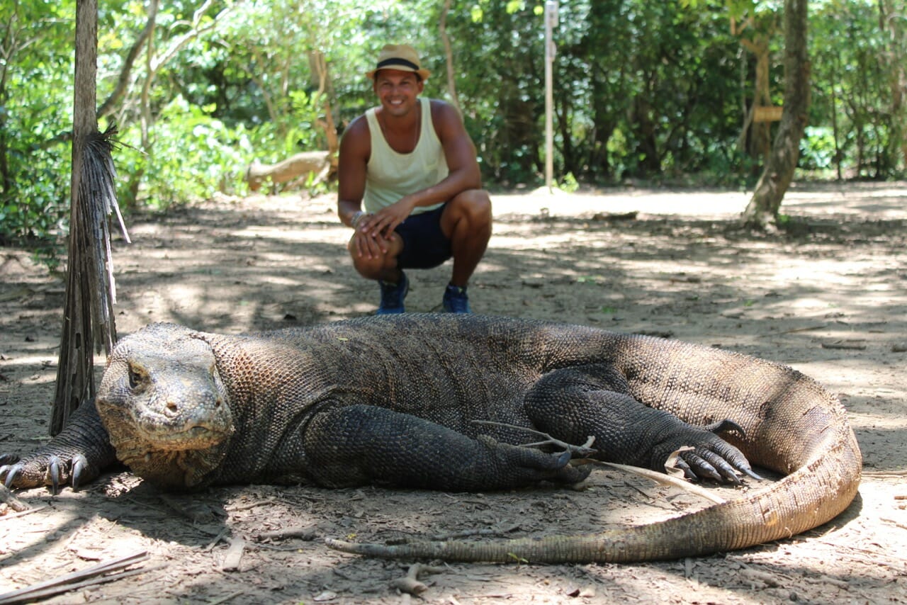 How to plan a trip to Komodo island and see the Komodo dragon