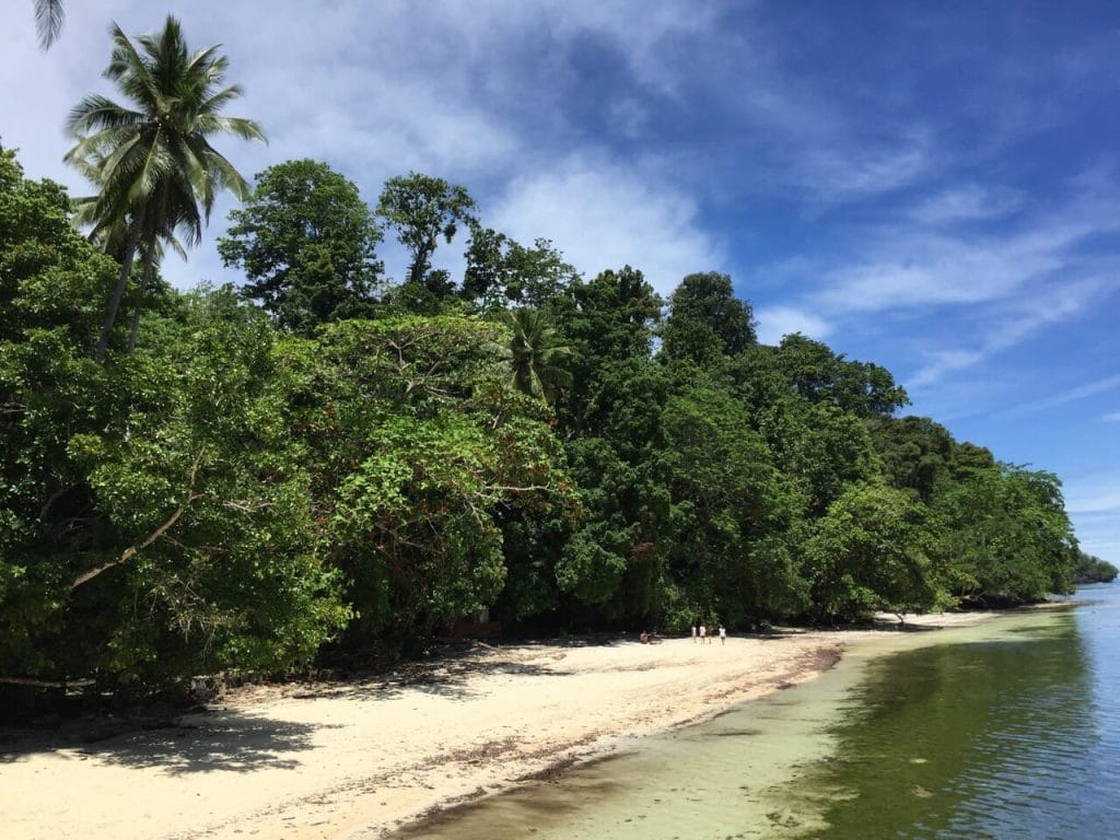 A deserted beach with emerald water
and lush vegetation in Raja Ampat, Indonesia