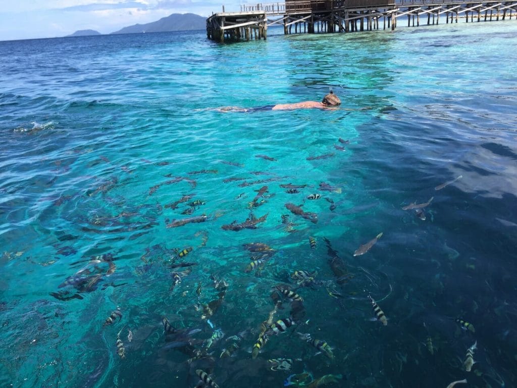 A man snorkelling in Raja Ampat, Indonesia