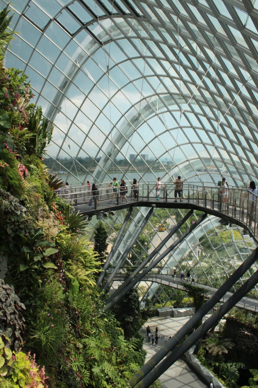 a huge climate-controlled conservatory with elevated platforms with people walking on it and the city of Singapore in the background