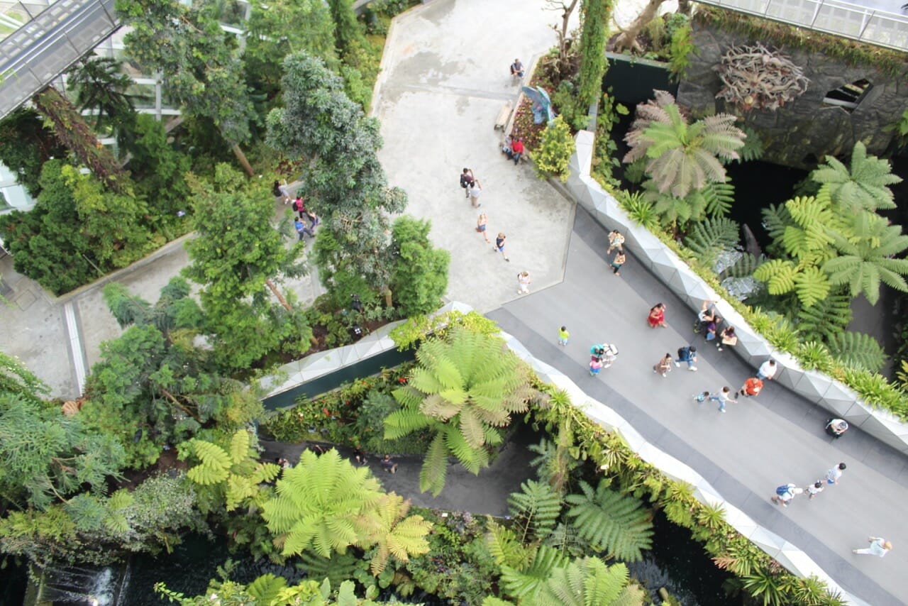 Aerial view of some trees and people walking around the Cloud Forest, Singapore