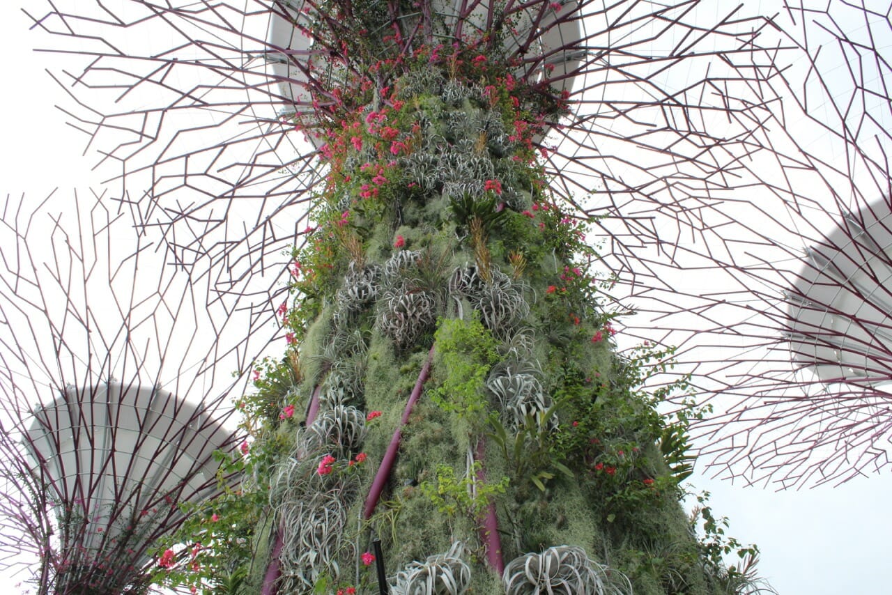 Gardens by the Bay 