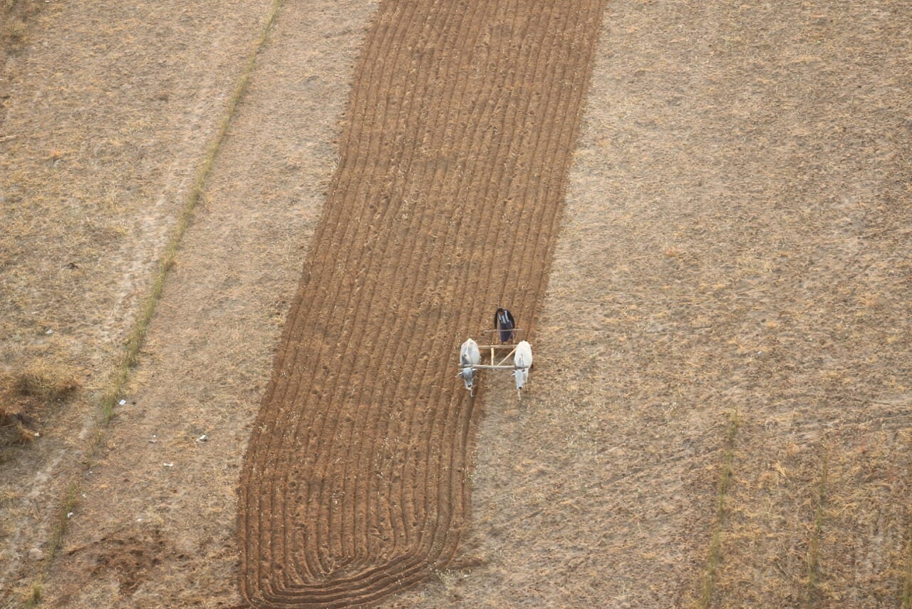 Early in the morning in Bagan and people are already working on the farms...