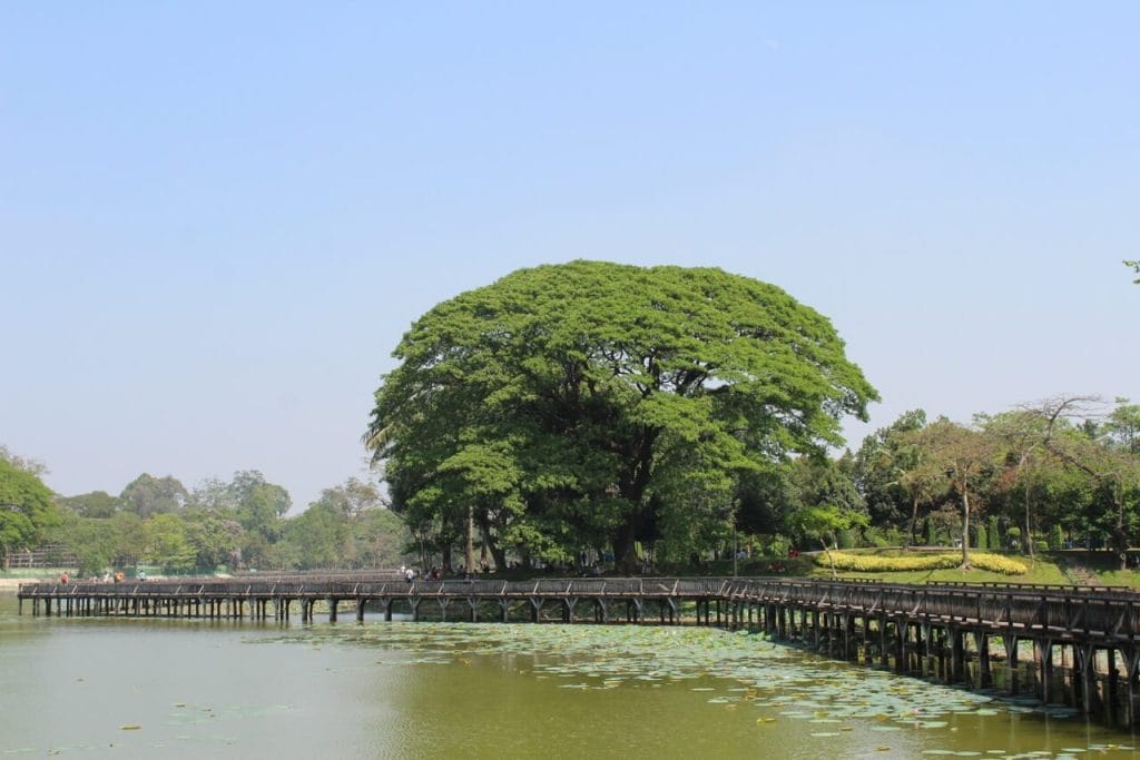 Kandawgyi Lake, Yangon