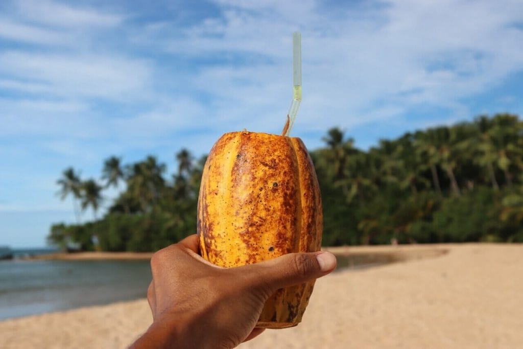 Caipirinha, o drink brasileiro mais conhecido no mundo.