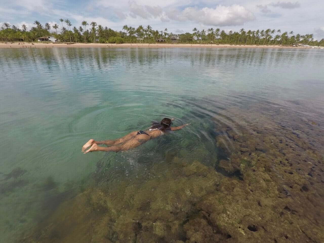 Uma mulher nadando nas piscinas naturais da praia de Taipu de Fora, Península de Maraú, Bahia, com vários coqueiros ao fundo