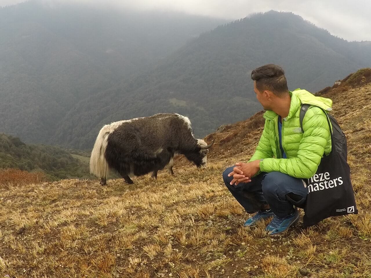 A man wearing a light-green jacket, blue pants and blue sneakers looking at a yak with some mountains in the background during a trek in Nepal