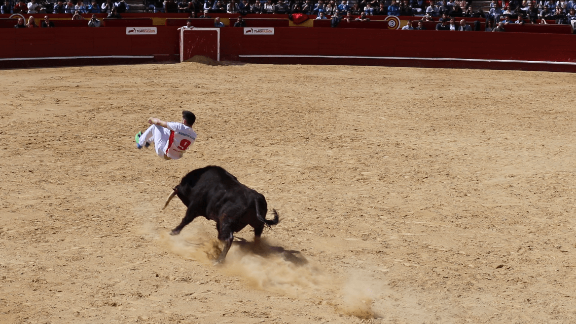 Tourada na Espanha: Se os touros não são feridos é aceitável ...