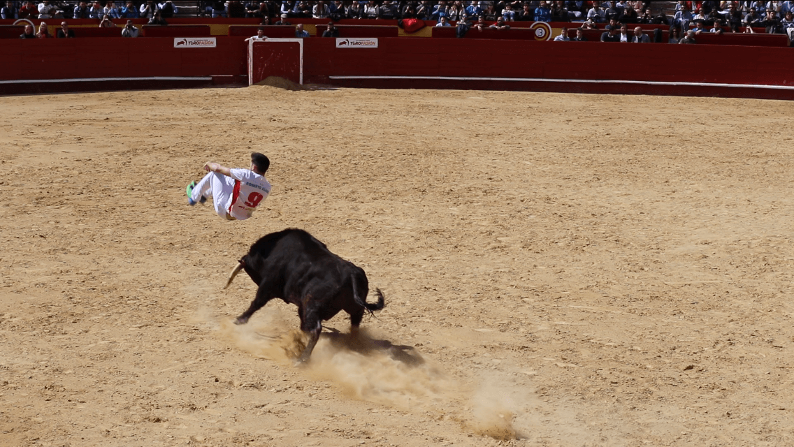 bullfighting-valencia-spain-recortes